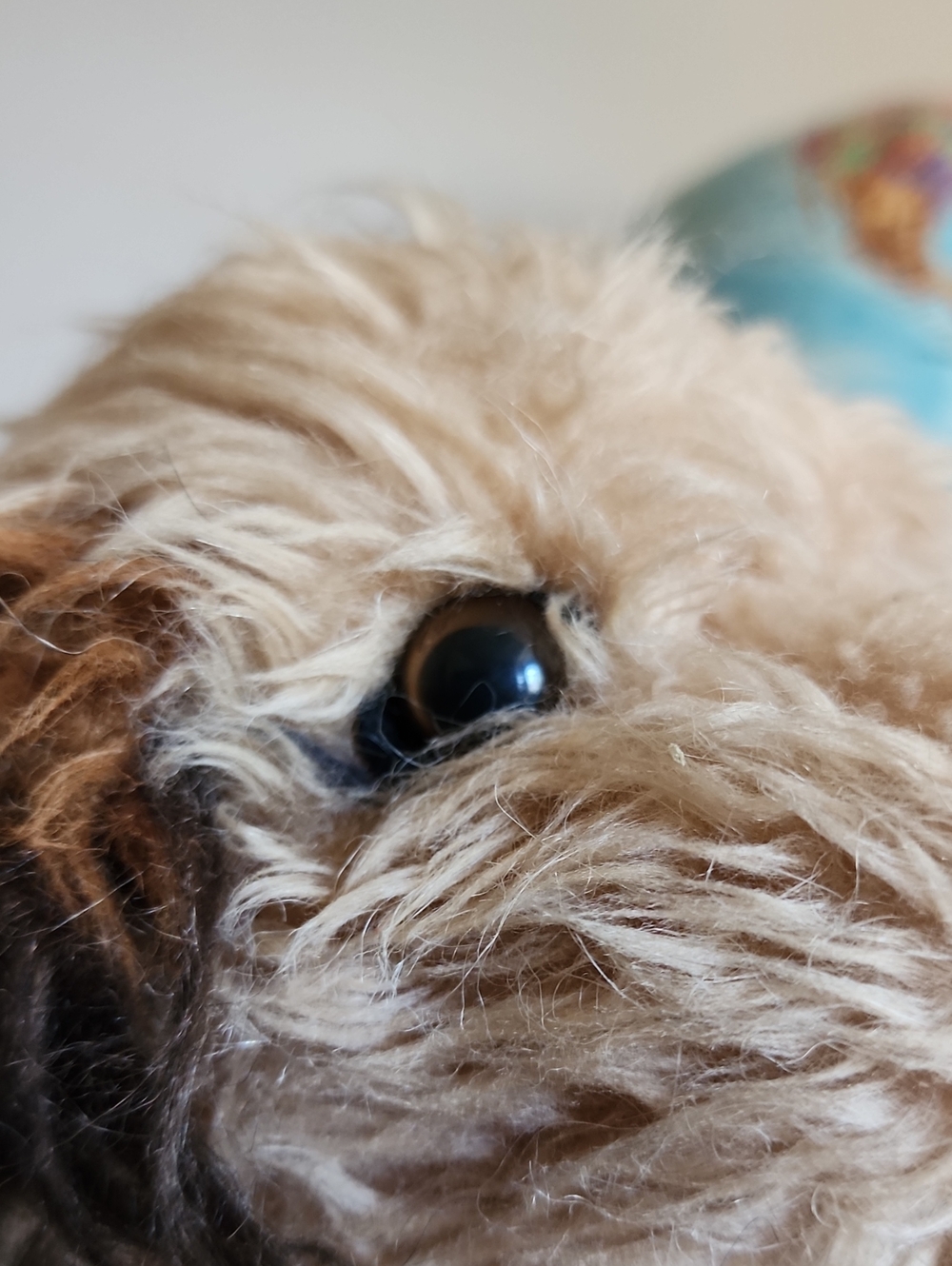 Vintage Dakin BENJI Dog 1978 Mulberry Square - Picture 4 of 13